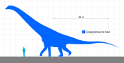 Futalognkosaurus size comparison