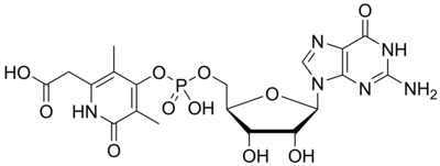 Hmd Catalyzed Reaction