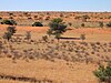 Kalahari in Botswana