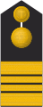 Stabskapitänleutnant (military geographical service)