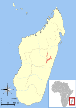 Distribución del lémur ratón de Goodman