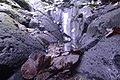 Mount Cameroon tropical rocks