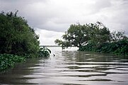 Mündung des South Guadalupe River bei Guadalupe Bay