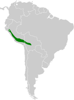 Distribución geográfica de la dormilona nuquiparda.