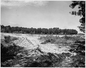 Submarginal private lands inside the Sumter National Forest which should be in trees instead of terraced for cultivation. (April 1941)