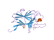 2bba: Crystal Structure and Thermodynamic Characterization of the EphB4 Receptor in Complex with an ephrin-B2 Antagonist Peptide Reveals the Determinants for Receptor Specificity