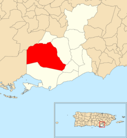 Location of Pozo Hondo within the municipality of Guayama shown in red