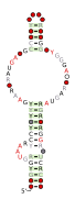 DUF3800-X Secondary structure taken from the Rfam database. Family RF02984