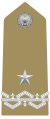 Italy: Generale di brigata (Brigadiere generale)