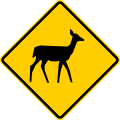 P-10-3 Deer crossing