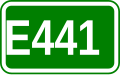 E441 shield