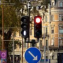 Kollektivtrafik i egen fil. Signalbild lodrätt streck - "Fortsätt framåt"