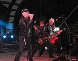 Troublemakers playing at Pretzeltown 2009