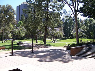 A view of the garden