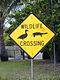 Australia, Assorted Wildlife Crossing.