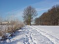 Winter am Brentweg in Husen