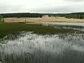 Etang de Schwarzbach, vestige de la dernière glaciation.