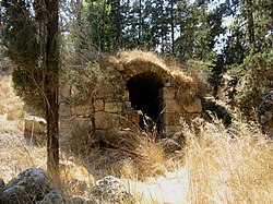 Ruins in Bayt Susin