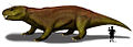 Bocatherium