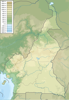 Type locality in Cameroon