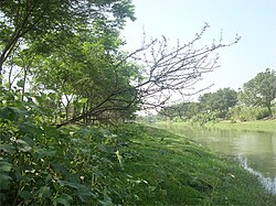 Canal in Ramnathpur village