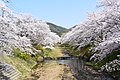 2018年4月1日 (日) 06:19時点における版のサムネイル