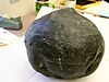 An example North American coal ball of the sort proved to exist by Adolf Carl Noé