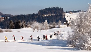 Cross-country skiers at Einsiedeln Ski Marathon 2006