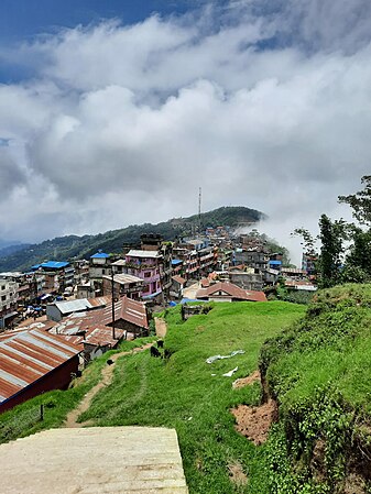 View from the base of Hile View Tower