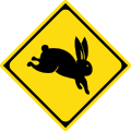Watch for large animals (rabbit)