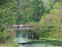 Bridge walkway in one of the nature settings.