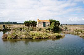 Les marais salants.