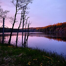 Långetjärnet (Gunnarsnäs socken, Dalsland)