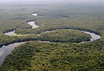 An aerial view of a river in a tropical forest