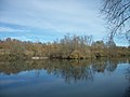 Petite île vers le milieu du lac, les oiseaux viennent s'y réfugier, on peut y observer des grands cormorans ainsi que des Grandes aigrettes