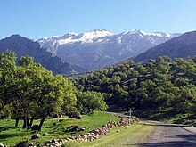 Photo d'un paysage vallonée verdoyant, au fond des montagnes enneigées