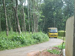 School bus in Nariyapuram