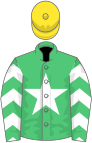 Emerald green, white star, white chevrons on sleeves, yellow cap