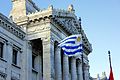 Flag in the Palacio Legislativo