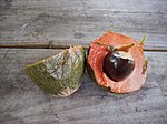 綠欖（英语：Pouteria viridis） Green sapote