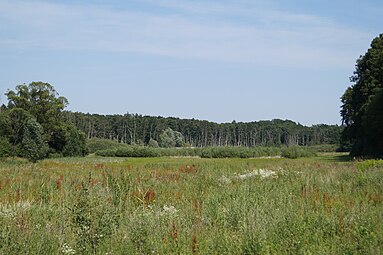 Blick vom Pfaffendamm nördlich von Großkrotzenburg in die Schifflache und den ehemaligen Torfbruch