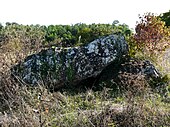 Dolmen de Palus