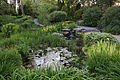 Water Garden at Roger-Van den Hende botanical garden
