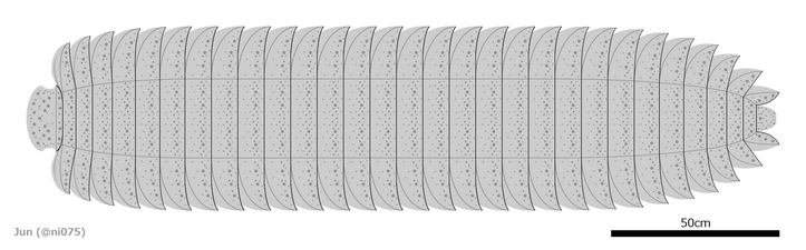 全長2m以上に及ぶアースロプレウラ Arthropleura armata の復元図