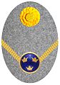 Hat badge (Mössmärke m/1914) for a second lieutenant in the army on fur hat (pälsmössa m/1909-14)