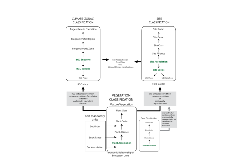 The biogeoclimatic ecosystem classification framework is presented, showing the integration of three classification hierarchies: vegetation, climate (or zonal), and site. The units of vegetation classification are linked to levels of the climate and site classifications