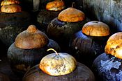 Bagoong fermenting in burnay jars in the province of Ilocos Norte, Philippines