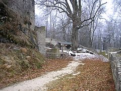 Der östliche Zwingerbereich mit der Burglinde und dem Wirtschaftshof