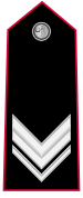 vice brigadiere