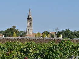 Civrac-en-Médoc – Veduta